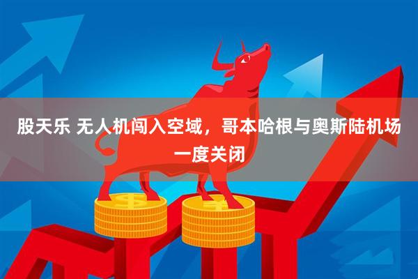 股天乐 无人机闯入空域，哥本哈根与奥斯陆机场一度关闭