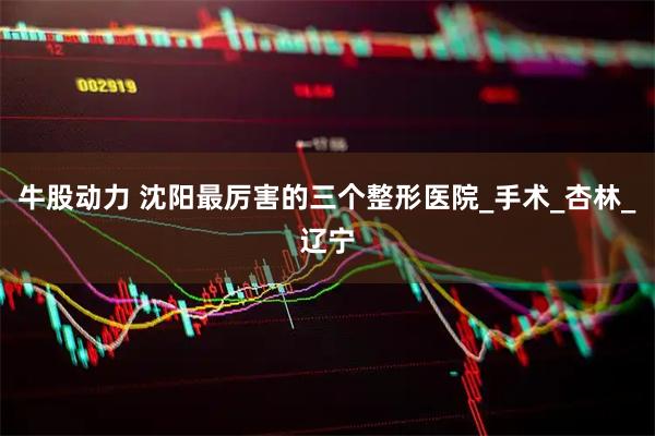 牛股动力 沈阳最厉害的三个整形医院_手术_杏林_辽宁