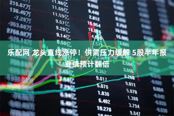 乐配网 龙头直线涨停！供需压力缓解 5股半年报业绩预计翻倍