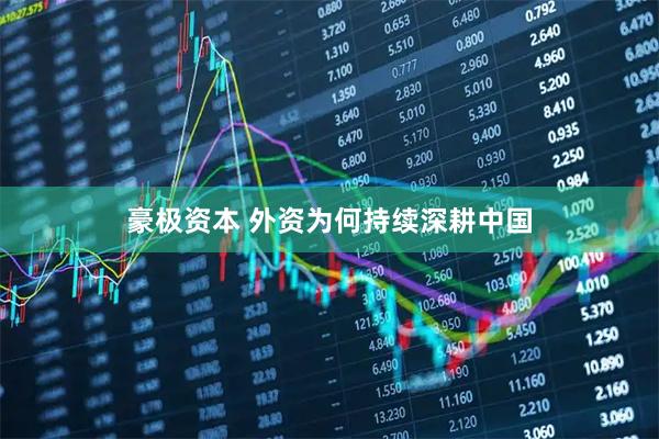 豪极资本 外资为何持续深耕中国