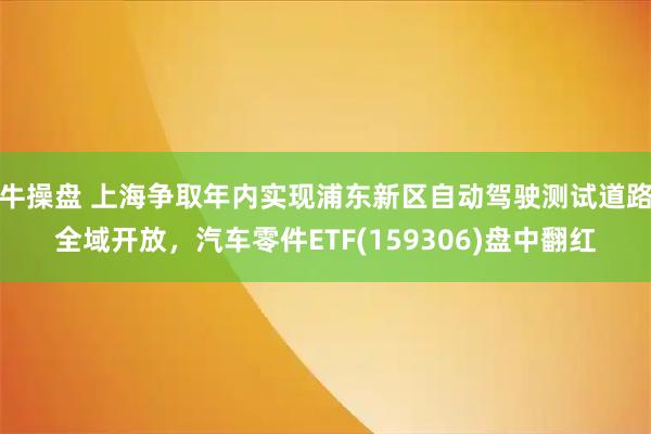 牛操盘 上海争取年内实现浦东新区自动驾驶测试道路全域开放，汽车零件ETF(159306)盘中翻红